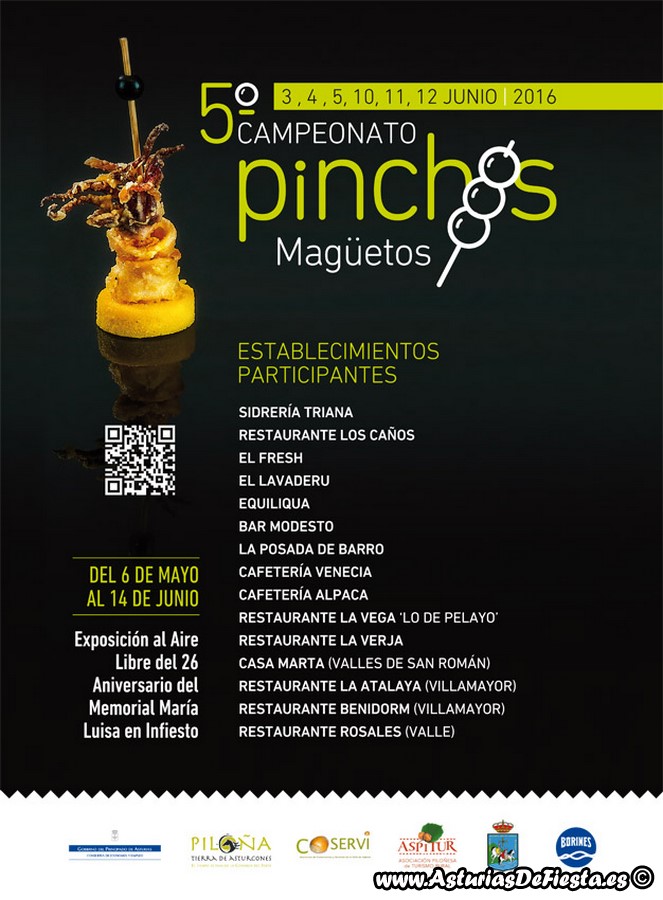 maguetos pinchos 2016 (Copiar)