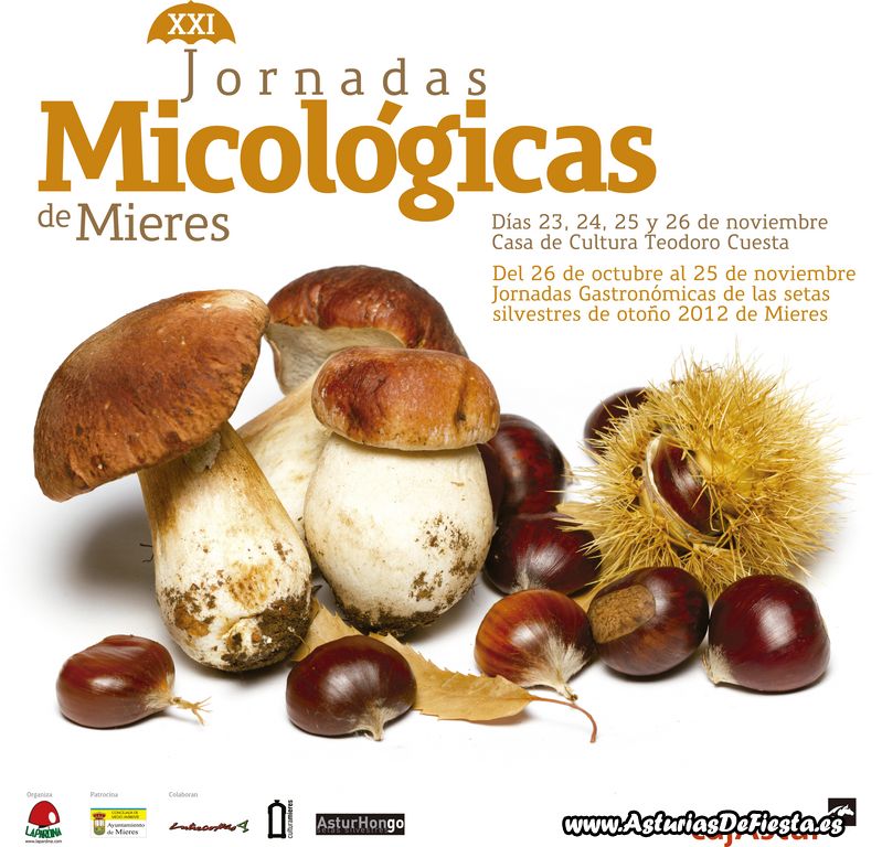 cartel_jornadas_micologicas_setas_2012