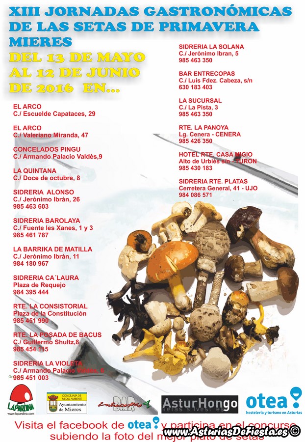 CARTEL GASTRONOMICAS SETAS PRIMAVERA 2016 (2) (Copiar)