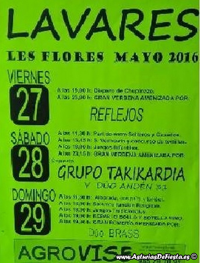 flores lavares 2016 (Copiar)