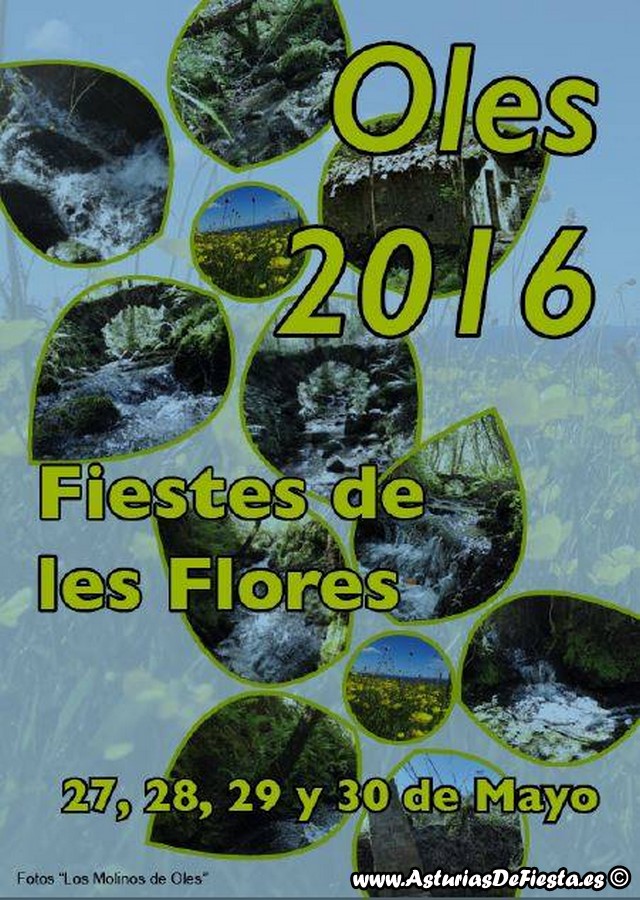 flores oles 2016 (Copiar)