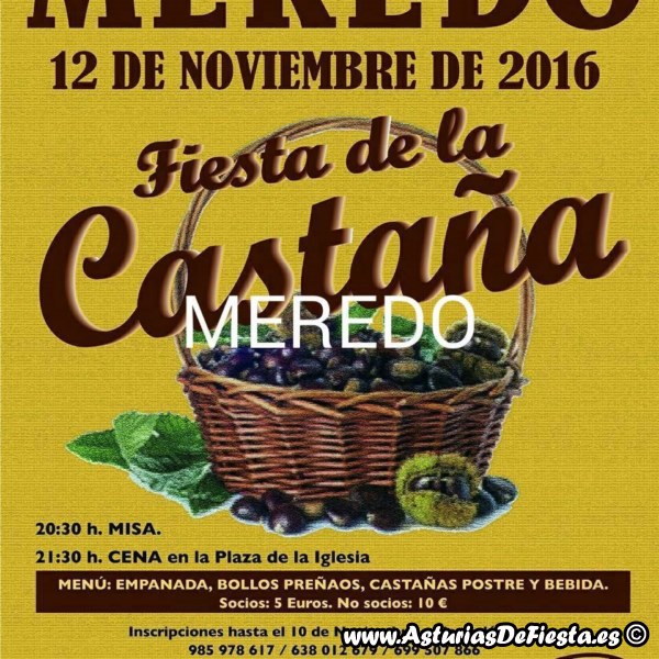 castana-meredo-vegadeo-2016-800x600
